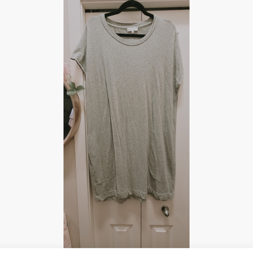Aritzia Community T-Shirt Dress
